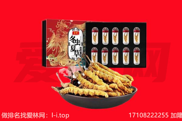 桂平市回收虫草.jpg